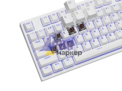 Клавиатура Genesis Gaming Keyboard Thor 404 TKL White RGB Backlight US Layout Brown Switch