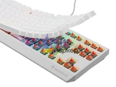 Клавиатура Genesis Gaming Keyboard Thor 230 TKL US RGB Mechanical Outemu Red White Hot Swap