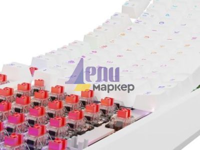 Клавиатура Genesis Gaming Keyboard Thor 230 TKL US RGB Mechanical Outemu Red White Hot Swap