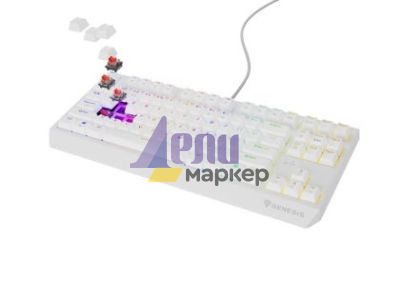 Клавиатура Genesis Gaming Keyboard Thor 230 TKL US RGB Mechanical Outemu Red White Hot Swap