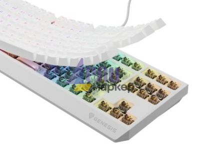 Клавиатура Genesis Gaming Keyboard Thor 230 TKL US RGB Mechanical Outemu Brown White Hot Swap