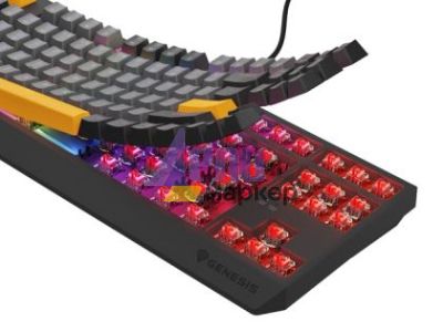 Клавиатура Genesis Gaming Keyboard Thor 230 TKL Anchor Gray Negative US RGB Mechanical Outemu Red