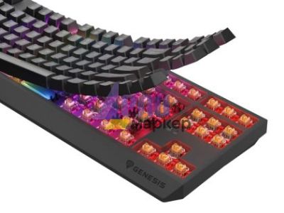 Клавиатура Genesis Gaming Keyboard Thor 230 TKL Wireless US Black RGB Mechanical Outemu Panda