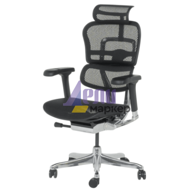 Ергономичен стол ERGOHUMAN ELITE 2 - черна рамка - черен