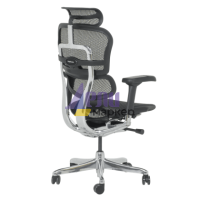 Ергономичен стол ERGOHUMAN ELITE 2 - черна рамка - черен