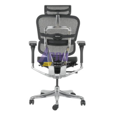 Ергономичен стол ERGOHUMAN ELITE 2 - черна рамка - черен