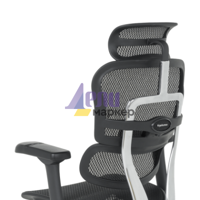 Ергономичен стол ERGOHUMAN ELITE 2 - черна рамка - черен