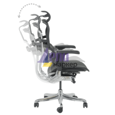 Ергономичен стол ERGOHUMAN ELITE 2 - черна рамка - черен