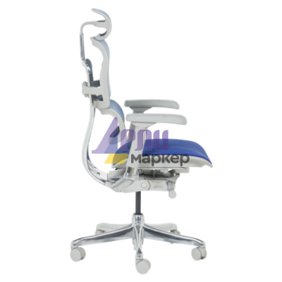 Ергономичен стол ERGOHUMAN ELITE 2 - сива рамка - син