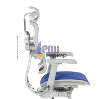 Ергономичен стол ERGOHUMAN ELITE 2 - сива рамка - син