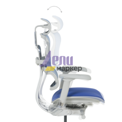 Ергономичен стол ERGOHUMAN ELITE 2 - сива рамка - син