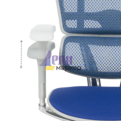 Ергономичен стол ERGOHUMAN ELITE 2 - сива рамка - син