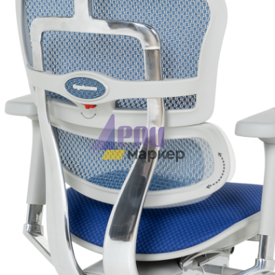 Ергономичен стол ERGOHUMAN ELITE 2 - сива рамка - син