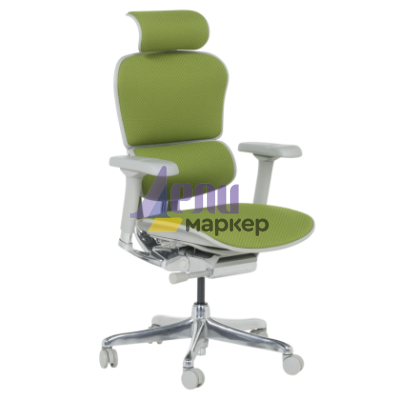 Ергономичен стол ERGOHUMAN ELITE 2 - сива рамка - зелен