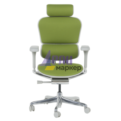 Ергономичен стол ERGOHUMAN ELITE 2 - сива рамка - зелен