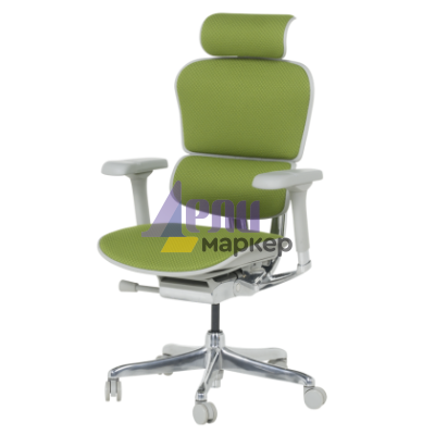 Ергономичен стол ERGOHUMAN ELITE 2 - сива рамка - зелен