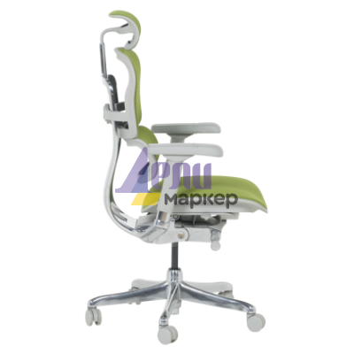 Ергономичен стол ERGOHUMAN ELITE 2 - сива рамка - зелен