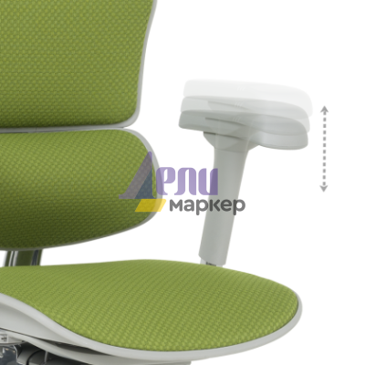 Ергономичен стол ERGOHUMAN ELITE 2 - сива рамка - зелен