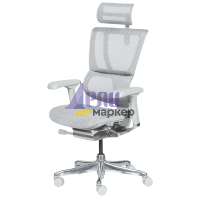 Ергономичен стол ERGOHUMAN IOO ELITE 2 - сива рамка - сив