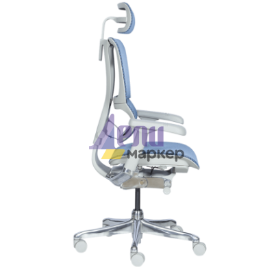 Ергономичен стол ERGOHUMAN IOO ELITE 2 - сива рамка - син