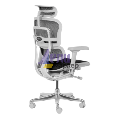 Ергономичен стол ERGOHUMAN ELITE 2 - сива рамка - черен