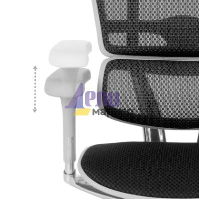 Ергономичен стол ERGOHUMAN ELITE 2 - сива рамка - черен