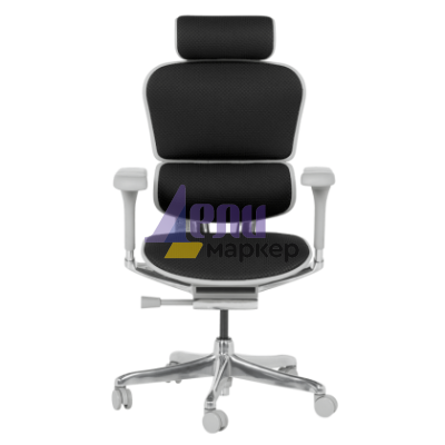 Ергономичен стол ERGOHUMAN ELITE 2 - сива рамка - черен