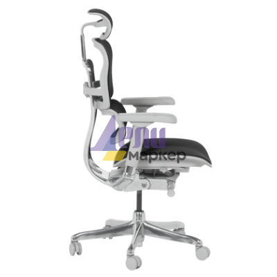 Ергономичен стол ERGOHUMAN ELITE 2 - сива рамка - черен