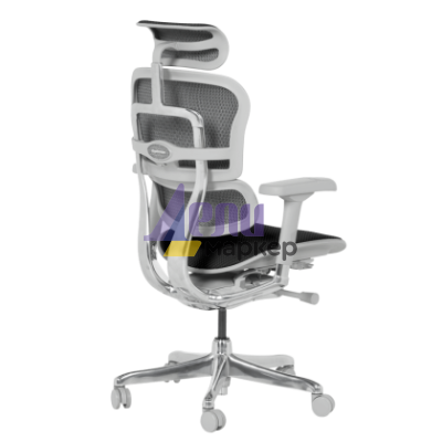 Ергономичен стол ERGOHUMAN ELITE 2 - сива рамка - черен