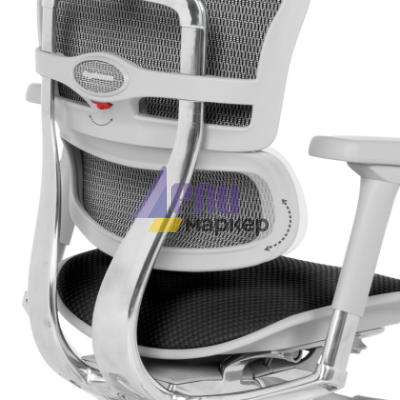 Ергономичен стол ERGOHUMAN ELITE 2 - сива рамка - черен