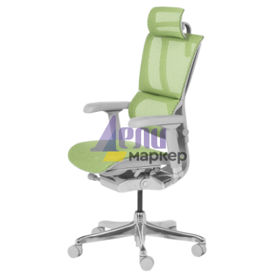 Ергономичен стол ERGOHUMAN IOO ELITE 2 - сива рамка - зелен