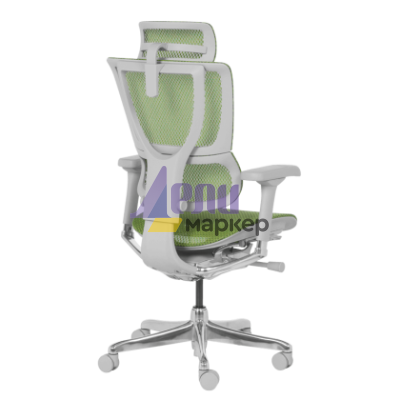 Ергономичен стол ERGOHUMAN IOO ELITE 2 - сива рамка - зелен