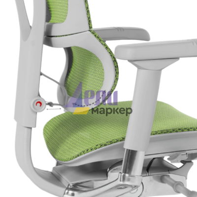 Ергономичен стол ERGOHUMAN IOO ELITE 2 - сива рамка - зелен