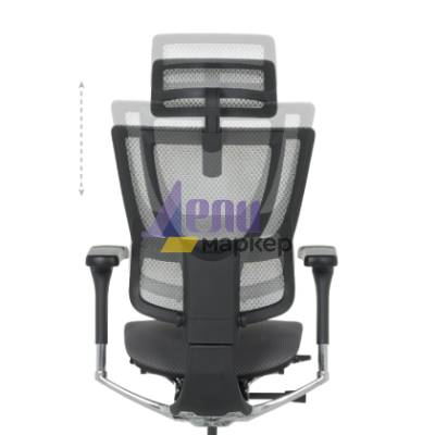 Ергономичен стол ERGOHUMAN IOO ELITE 2 - черна рамка - черен