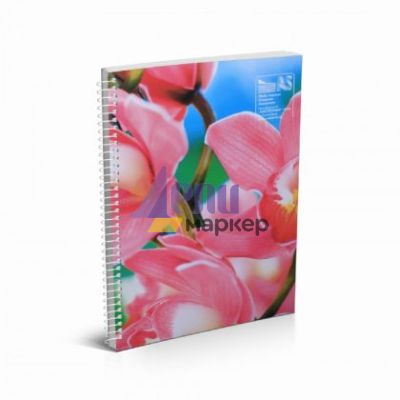 Тетрадка Multiprint Меки корици, спирала, 2 теми, А5 80 л. с широки редове